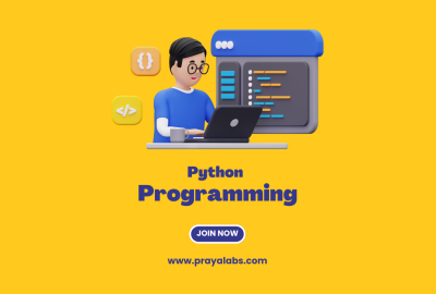 Python Programming